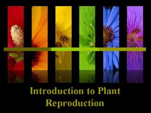 Asexual reproduction Asexual reproduction