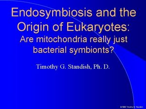 Endosymbiosis and the Origin of Eukaryotes Are mitochondria