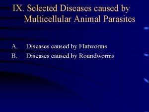 Multicellular animal parasites