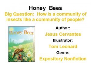 Honey Bees Big Question How is a community