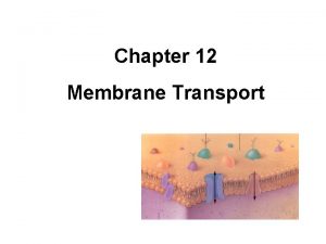 Chapter 12 Membrane Transport Definitions Solution mixture of