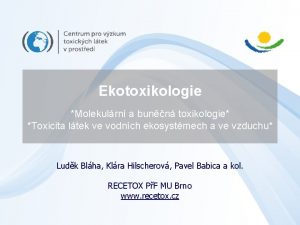 Ekotoxikologie Molekulrn a bunn toxikologie Toxicita ltek ve