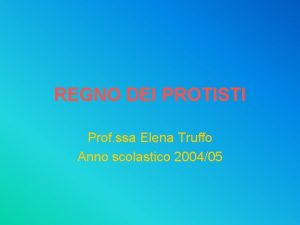 REGNO DEI PROTISTI Prof ssa Elena Truffo Anno