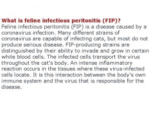 What is feline infectious peritonitis FIP Feline infectious