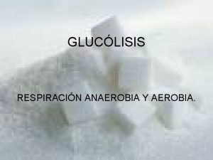 Glucogenesis