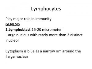 Genesis of lymphocytes