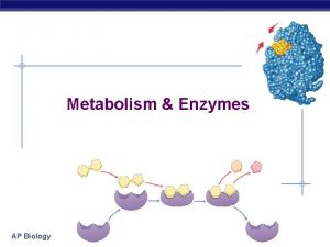 Metabolism Enzymes AP Biology Flow of energy through