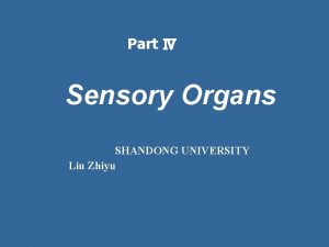 Part Sensory Organs SHANDONG UNIVERSITY Liu Zhiyu The