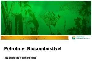 Petrobras Biocombustvel Joo Norberto Noschang Neto Mercado para