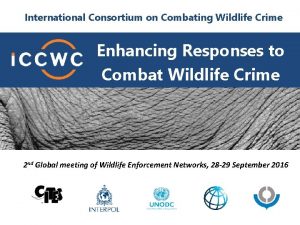 International consortium on combating wildlife crime