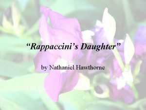 Rappaccini's daughter questions