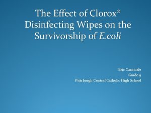 The Effect of Clorox Disinfecting Wipes on the