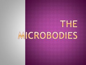 Microbodies diagram