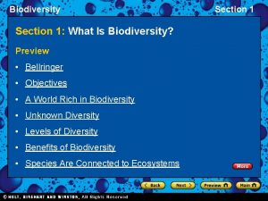 Biodiversity Section 1 What Is Biodiversity Preview Bellringer