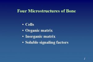 Four Microstructures of Bone Cells Organic matrix Inorganic