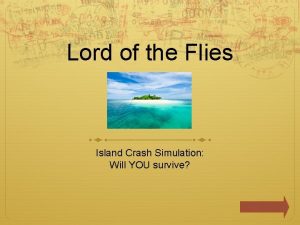 Lord of the flies simulation