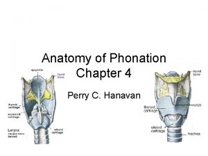 Anatomy of Phonation Chapter 4 Perry C Hanavan