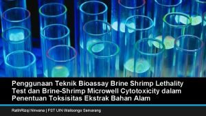Penggunaan Teknik Bioassay Brine Shrimp Lethality Test dan