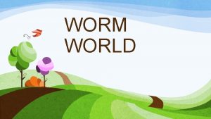 WORM WORLD Overview of the Worm Project Using
