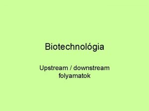 Biotechnolgia Upstream downstream folyamatok Upstream elllts Anyagcsere CNOenergia