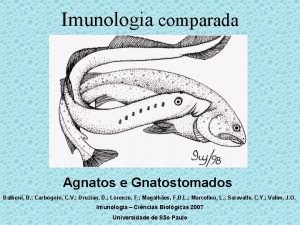 Imunologia