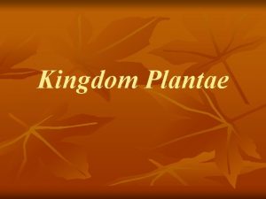 Kingdom Plantae Kingdom Plantae n n Evidence suggests