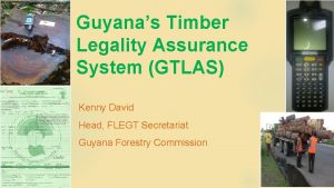 Guyanas Timber Legality Assurance System GTLAS Kenny David