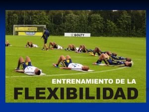 Flexibilidad