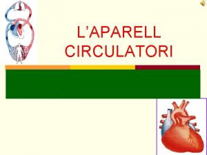 Laparell circulatori