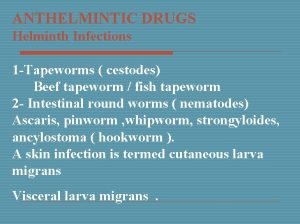 ANTHELMINTIC DRUGS Helminth Infections 1 Tapeworms cestodes Beef