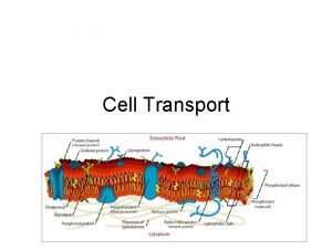 Cell Transport Cell Transport movement of materials CO