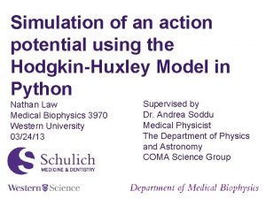 Simulation of an action potential using the HodgkinHuxley