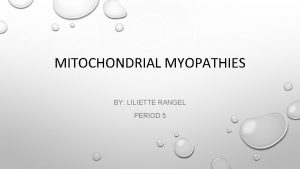 MITOCHONDRIAL MYOPATHIES BY LILIETTE RANGEL PERIOD 5 HOW