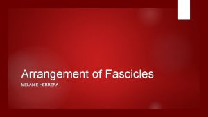 Arrangement of fascicles
