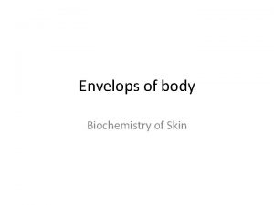 Envelops of body Biochemistry of Skin Functions Like