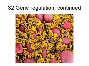 Signal molecule