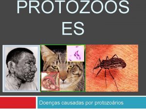 PROTOZOOS ES Doenas causadas por protozorios DOENA DE