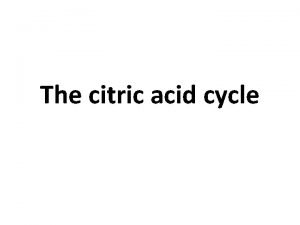 The citric acid cycle The citric acid cycle