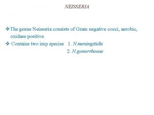 NEISSERIA v The genus Neisseria consists of Gram