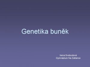 Genetika bunk Irena Svobodov Gymnzium Na Zatlance Prokaryotn