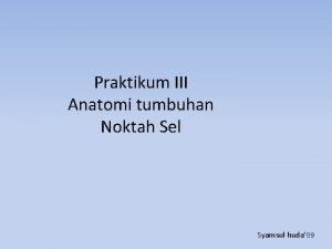 Perbedaan noktah dan plasmodesmata
