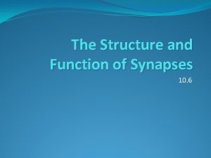 Functions of synapses
