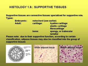 HISTOLOGY 1 9 SUPPORTIVE TISSUES Supportive tissues are