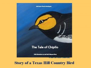 The tale of chipilo crisopario