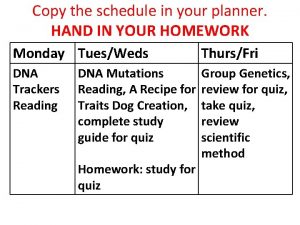 Copy the schedule in your planner HAND IN