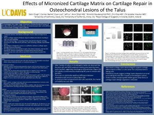 Effects of Micronized Cartilage Matrix on Cartilage Repair
