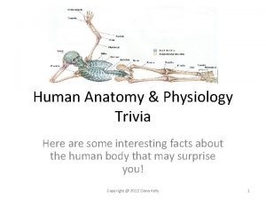 Human Anatomy Physiology Trivia Here are some interesting