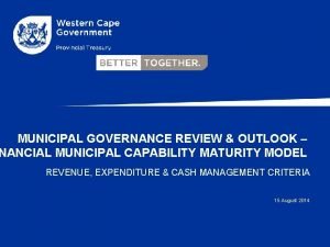 Financial management capability maturity model