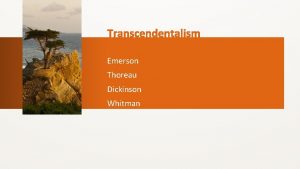 Emerson Thoreau Dickinson Whitman Background Transcendentalism really began