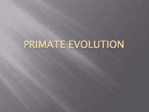 PRIMATE EVOLUTION PRIMATES Characteristics of Primates Manual dexterity